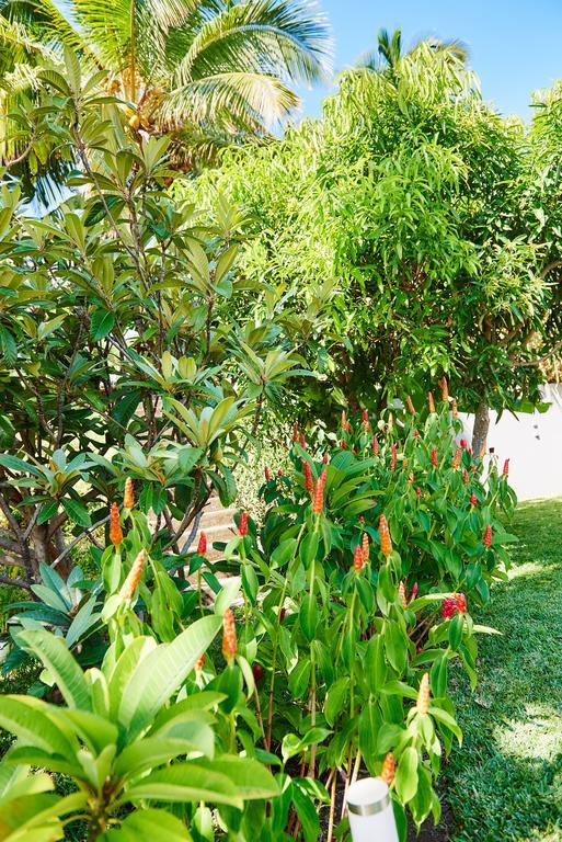 La Villa Paille En Queue Saint-Gilles-les Bains Dış mekan fotoğraf